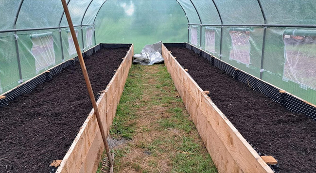 Standard Post with Image